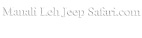 picture-2835.png